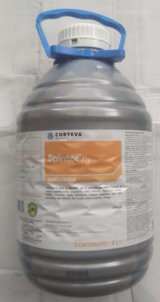 SPINTOR FLY LT 5