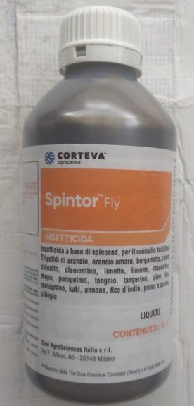 SPINTOR FLY LT 1