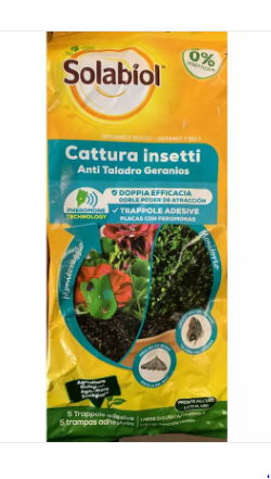 TRAPPOLE PER LA PIRALIDE DEL BOSSO E LEPIDOTTERO DEL GERANIO