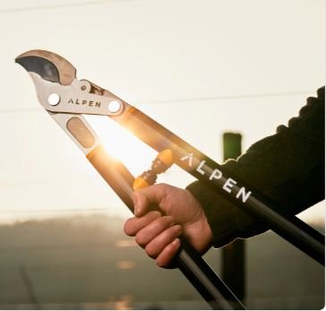 TRONCARAMI WEISSHORN 280