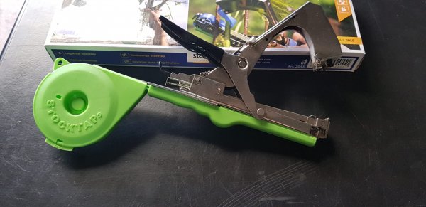 STOCKER LEGATRICE STOCKTAP