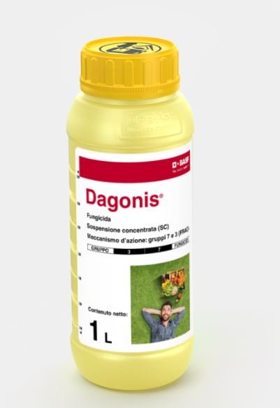 DAGONIS LT 1