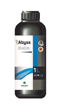 ABYSS LT.1