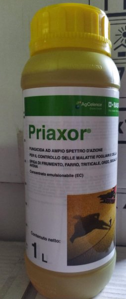 PRIAXOR LT.1