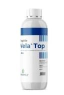 VELA TOP LT.1