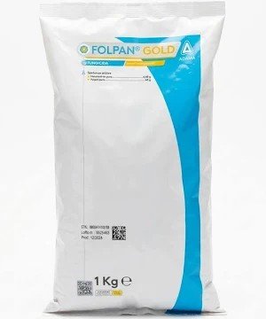 FOLPAN GOLD KG 1